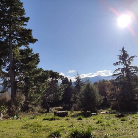 Casa Rural El Pinar Villa Navas de Riofrio Eksteriør billede