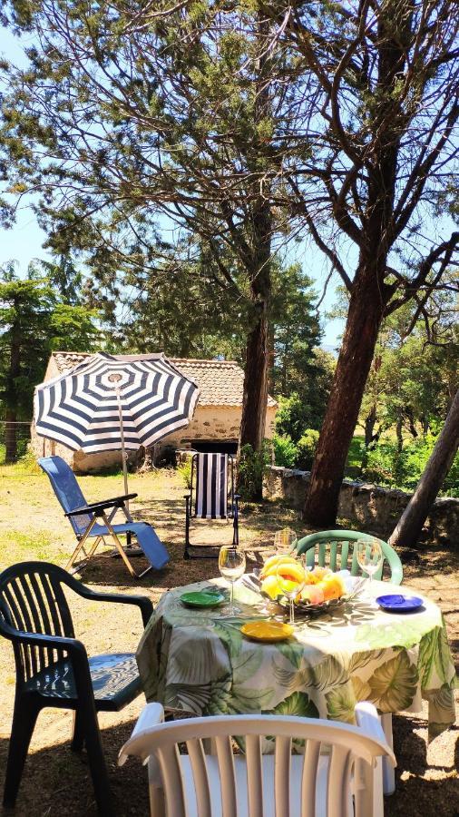Casa Rural El Pinar Villa Navas de Riofrio Eksteriør billede