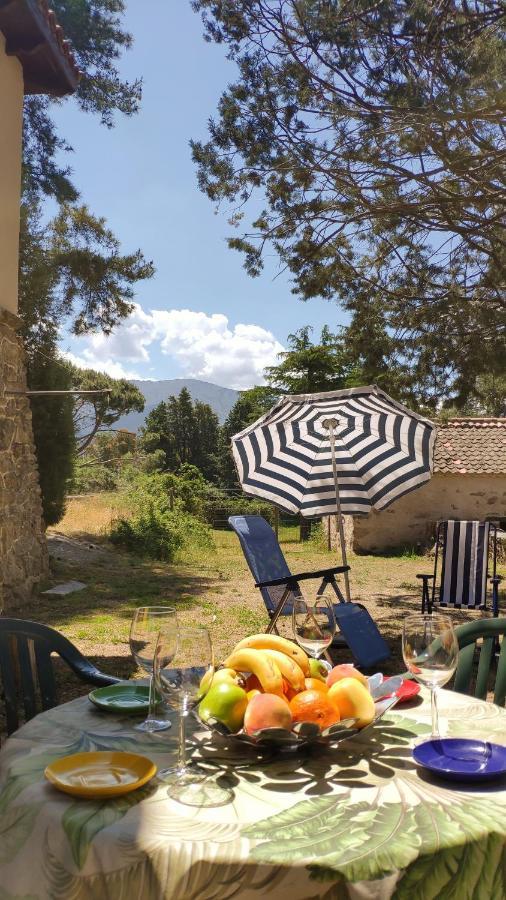 Casa Rural El Pinar Villa Navas de Riofrio Eksteriør billede